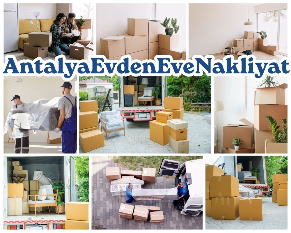 Antalya Dilovası Evden Eve Taşıma